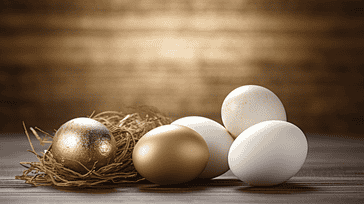 Investment Options for Retirement: Diversifying Your Portfolio